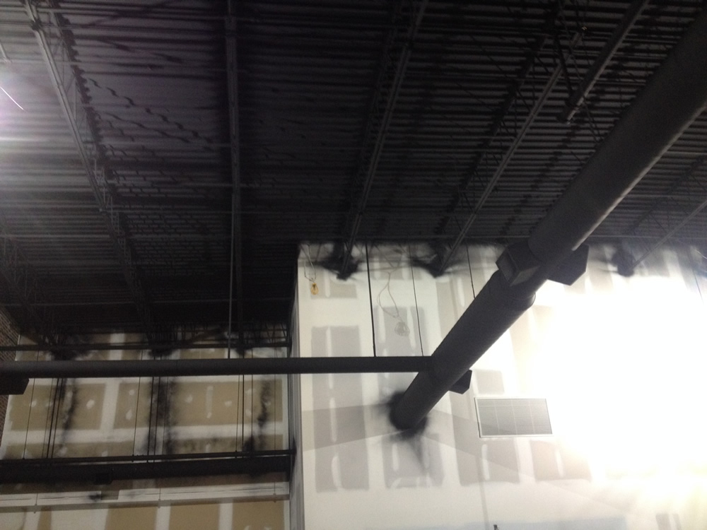 Photo Gallery Lauterio's Painting & Paperhanging Southeastern